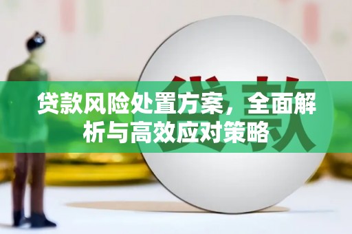 武胜贷款风险处置方案，全面解析与高效应对策略