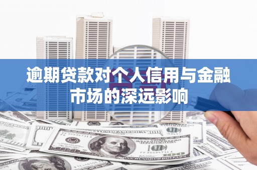 新埤逾期贷款对个人信用与金融市场的深远影响