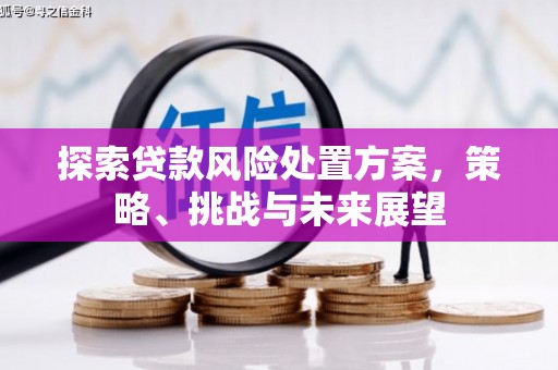 玛曲探索贷款风险处置方案，策略、挑战与未来展望