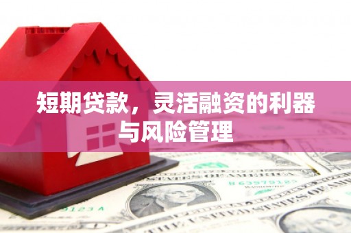 狮子短期贷款，灵活融资的利器与风险管理