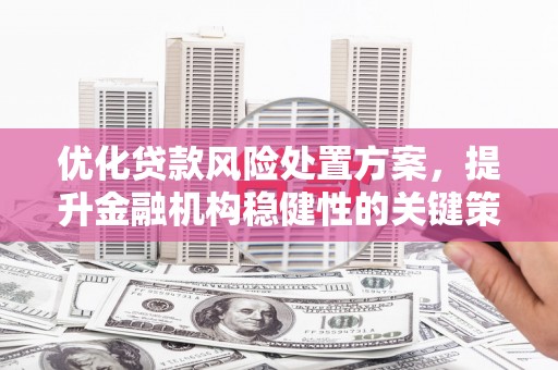 秀屿优化贷款风险处置方案，提升金融机构稳健性的关键策略