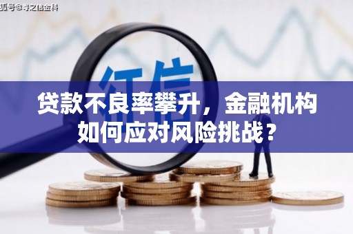 兴山贷款不良率攀升，金融机构如何应对风险挑战？
