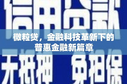 九龙微粒贷，金融科技革新下的普惠金融新篇章