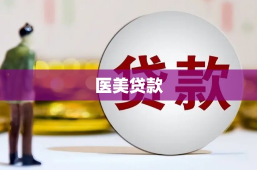 芬园医美贷款