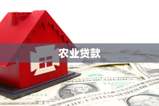 永康农业贷款