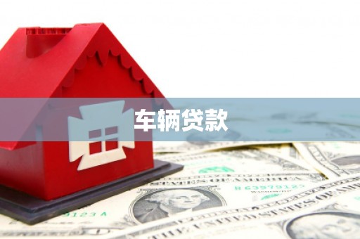 南宫车辆贷款