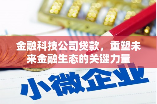 沙坡头金融科技公司贷款，重塑未来金融生态的关键力量