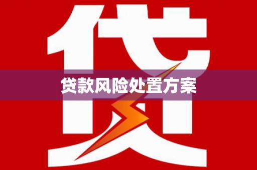 佛坪贷款风险处置方案