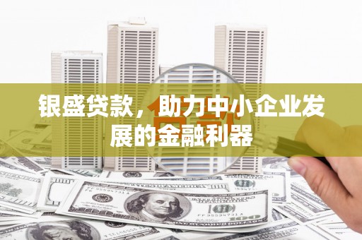 贵德银盛贷款，助力中小企业发展的金融利器