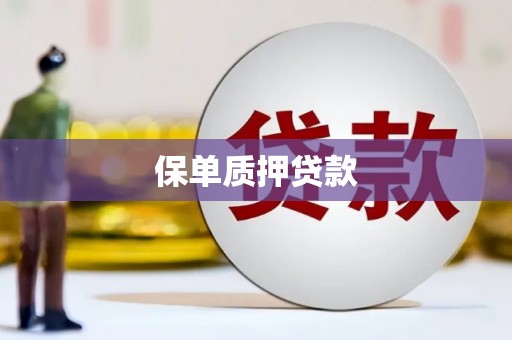 乌拉特前旗保单质押贷款