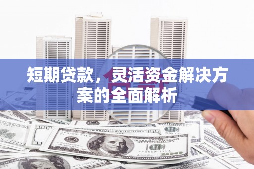 永和短期贷款，灵活资金解决方案的全面解析