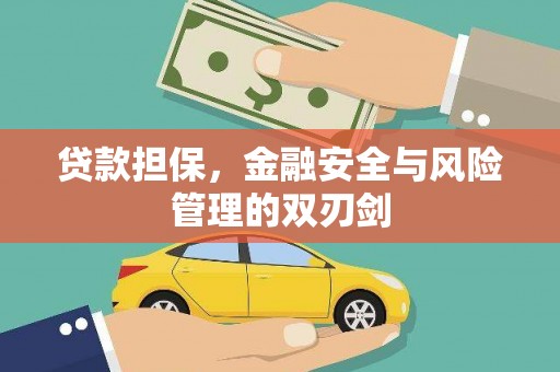 保税港区贷款担保，金融安全与风险管理的双刃剑