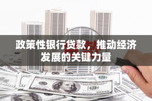 万柏林政策性银行贷款，推动经济发展的关键力量