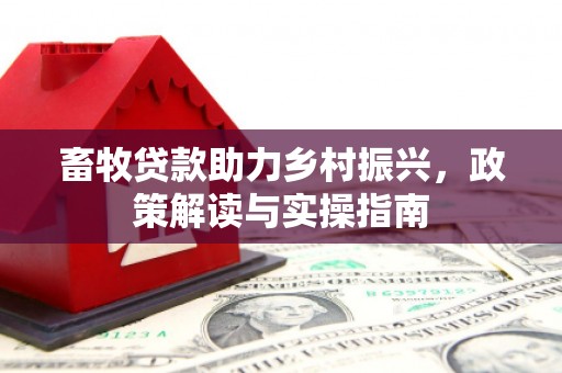 美溪畜牧贷款助力乡村振兴，政策解读与实操指南