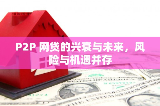 新蔡P2P 网贷的兴衰与未来，风险与机遇并存