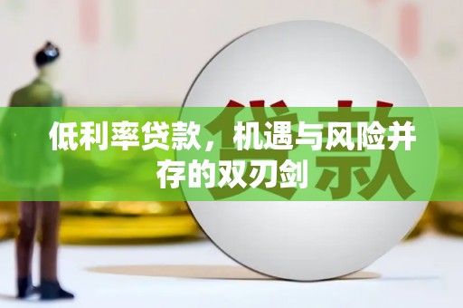 纳雍低利率贷款，机遇与风险并存的双刃剑