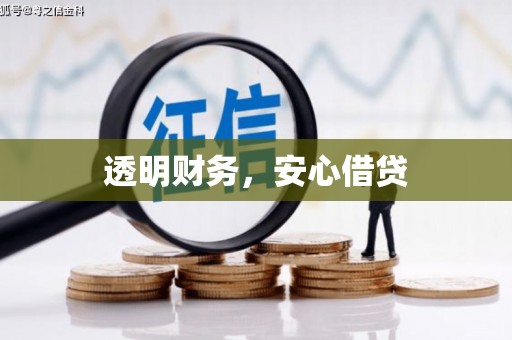 横栏透明财务，安心借贷