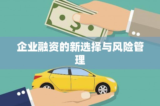 营口企业融资的新选择与风险管理