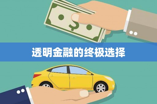 雨花透明金融的终极选择