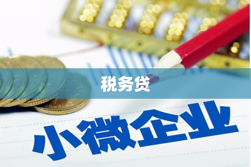巴里坤税务贷