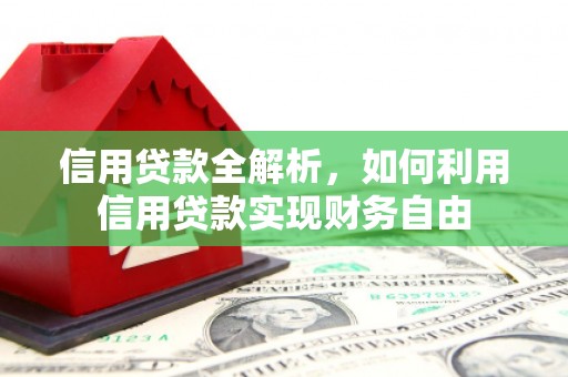 保税港区信用贷款全解析，如何利用信用贷款实现财务自由