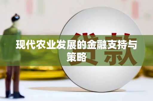湖内现代农业发展的金融支持与策略