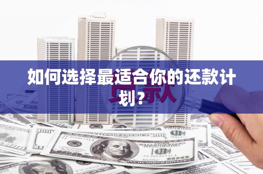 涞水如何选择最适合你的还款计划？