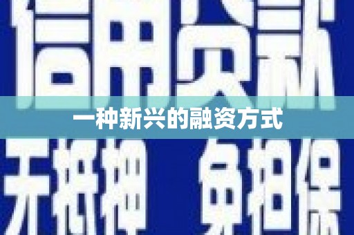 八宿一种新兴的融资方式