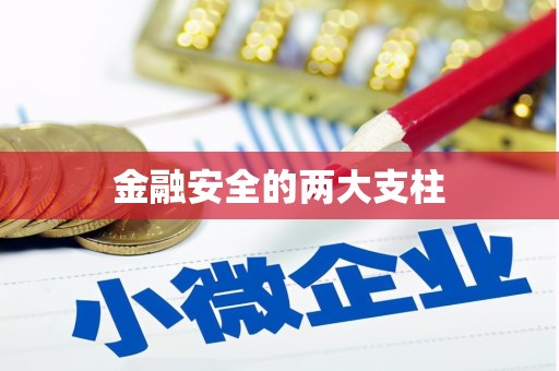 太谷金融安全的两大支柱