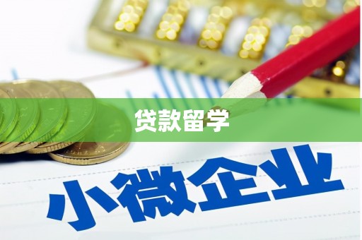 天宁贷款留学
